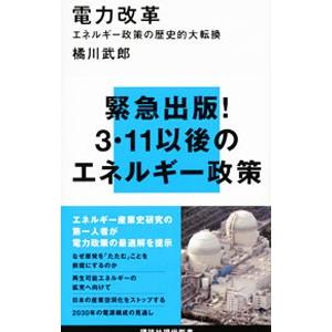 電力改革−エネルギー政策の歴史的大転換−／橘川武郎