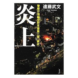 炎上 警察庁情報分析支援第二室〈裏店〉／遠藤武文