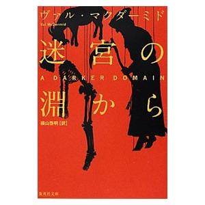 迷宮の淵から／ヴァル・マクダーミド