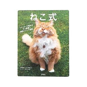 ねこ式／軟式文芸部