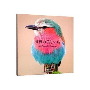 世界の美しい鳥／上田恵介｜netoff2