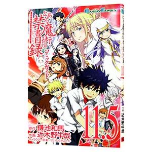 とある魔術の禁書目録 コミックガイド １１．５／近木野中哉