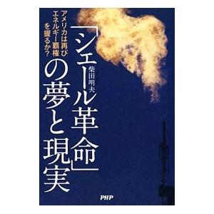 「シェール革命」の夢と現実／柴田明夫