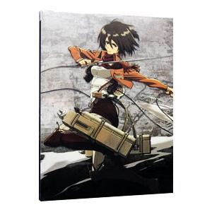 Blu-ray／進撃の巨人 ２
