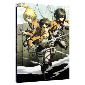 Blu-ray／進撃の巨人 ９