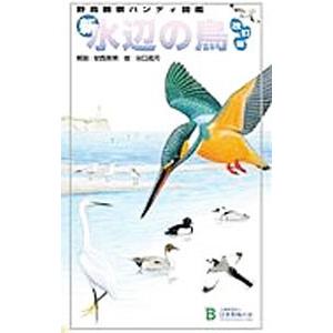 新・水辺の鳥／安西英明