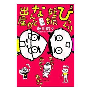 びっくり妊娠なんとか出産／細川貂々