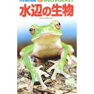 水辺の生物／白山義久