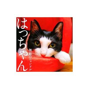 はっちゃん 無敵のニャンドル