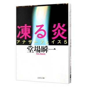 凍る炎 （アナザーフェイスシリーズ５）／堂場瞬一