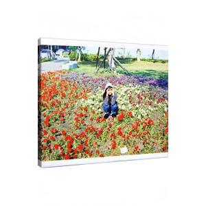 銀杏ＢＯＹＺ／光のなかに立っていてね