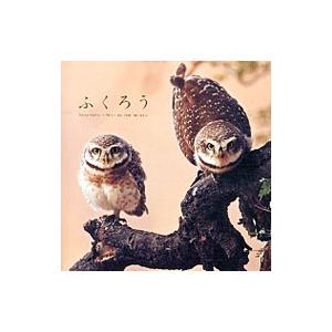 ふくろう ＢＥＡＵＴＩＦＵＬ ＯＷＬＳ ＩＮ ＴＨＥ