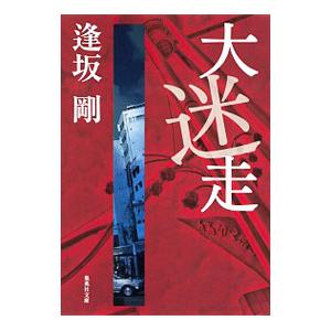 大迷走／逢坂剛