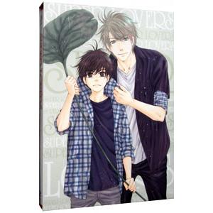 Blu-ray／ＳＵＰＥＲ ＬＯＶＥＲＳ 第１巻 限定版