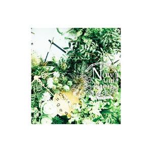 ＬＯＯＰ ＰＯＯＬ／Ｎｏｗ Ａｎｄ Ｔｈｅｎ