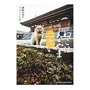 ねこはなやまニャい／御誕生寺（越前市）