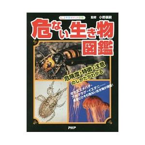 危ない生き物図鑑 学習ポケット図鑑／小野展嗣【監修】