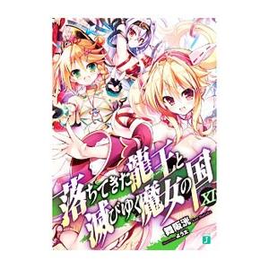 落ちてきた龍王と滅びゆく魔女の国 11／舞阪洸