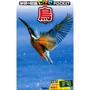 鳥／学研プラス