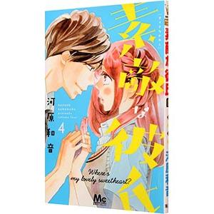 素敵な彼氏 4／河原和音