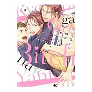 今日から俺がビッチなヤンキー！？／アカギギショウ