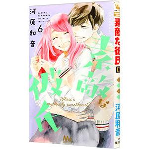 素敵な彼氏 6／河原和音