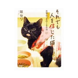 それでも人を信じた猫／咲セリ