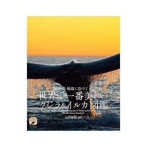 絶景・秘境に息づく世界で一番美しいクジラ＆イルカ図鑑／水口博也