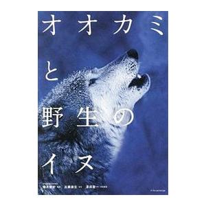 オオカミと野生のイヌ／近藤雄生