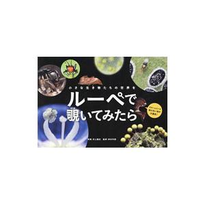 小さな生き物たちの世界をルーペで覗いてみたら／井上雅史（1956〜）｜netoff2