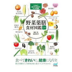 野菜薬膳食材図鑑ミニ／橋口亮