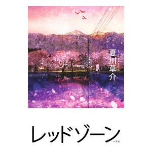 レッドゾーン／夏川草介