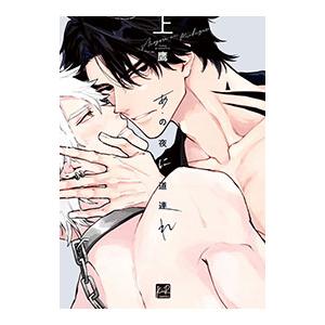 あの夜に道連れ 上／鷹