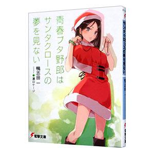 青春ブタ野郎はサンタクロースの夢を見ない（青春ブタ野郎シリーズ13