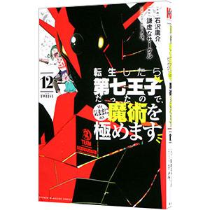 転生したら第七王子だったので、気ままに魔術を極めます 12／石沢庸介