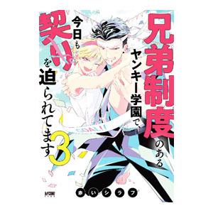 兄弟制度のあるヤンキー学園で、今日も契りを迫られてます 3／赤いシラフ