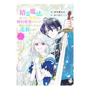 精霊魔法が使えない無能だと婚約破棄されたので、義妹の奴隷になるより追放を選びました 2／多花葉ねみ