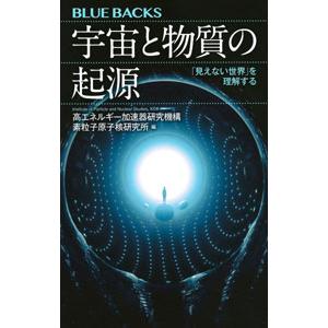 宇宙と物質の起源／高エネルギー加速器研究機構素粒子原子核研究所