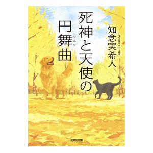 死神と天使の円舞曲／知念実希人