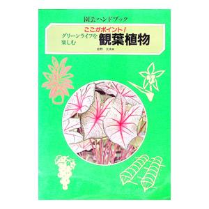 観葉植物／佐野文夫