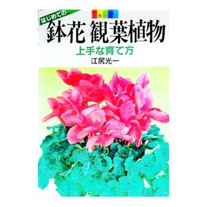 鉢花観葉植物／江尻光一