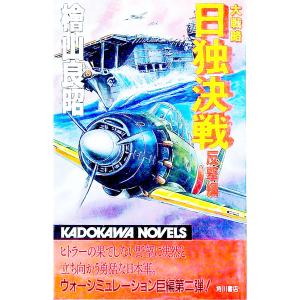 大戦略日独決戦−反撃編−／檜山良昭