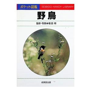 野鳥／堀田明