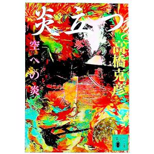 NHKエンタープライズ エントリーでP10倍！ 大河ドラマ 炎立つ 総集編