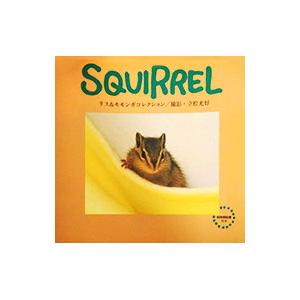 ＳＱＵＩＲＲＥＬ リス＆モモンガコレクション