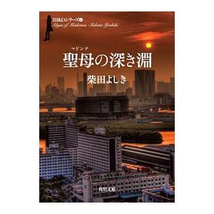 聖母の深き淵 （RIKOシリーズ2）／柴田よしき