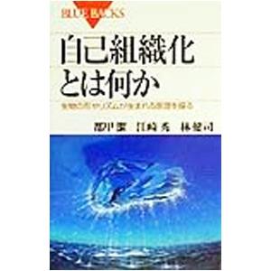 自己組織化とは何か／林健司