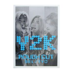 Y2K rough cut／朝日出版社