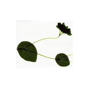 今井美樹／IMAI，MIKI from 1986