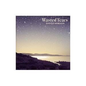 浜田省吾／WASTED TEARS